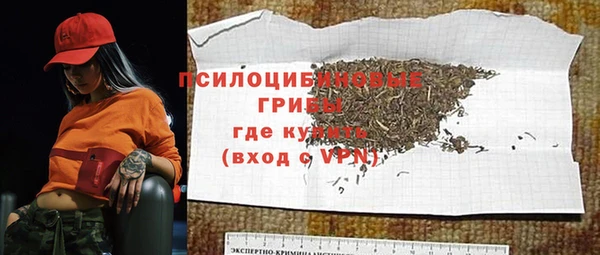 ешки Ельня