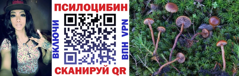 Галлюциногенные грибы мицелий  Сурск 